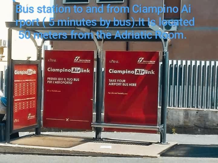 Adriatic Room 50 M Dalla Stazione Ferroviaria Di Ciampino E Dalla Navetta Aeroportuale Dış mekan fotoğraf